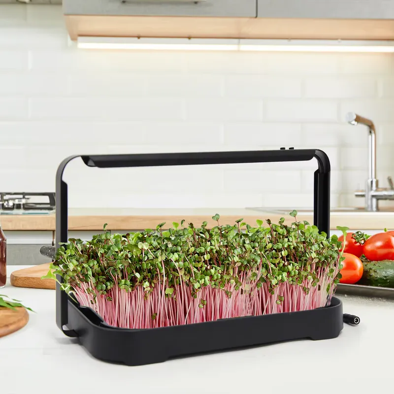 Smart Garden System - Гидропонный лоток для выращивания микрозелени в