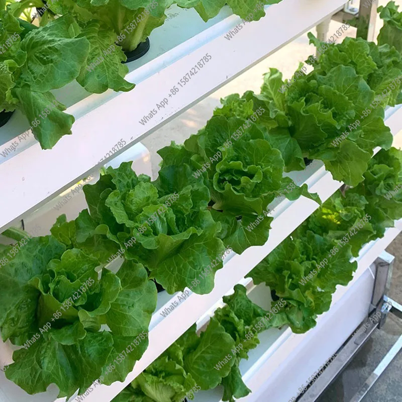 S Система выращивания гидропон – обзор и цена Smart Garden Vertical Planter