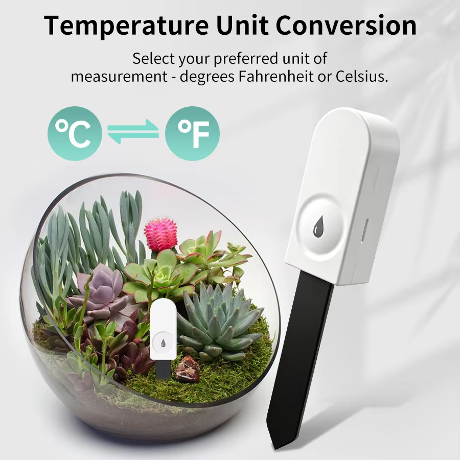 Многофункциональный Zigbee-тес – обзор и цена Smart Garden Watering