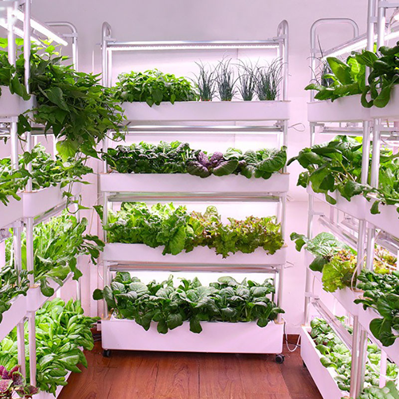 Система выращивания гидропоник – обзор и цена Smart Garden Vertical Planter