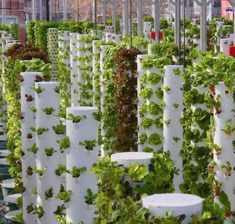 Умный домашний сад: Комплект д – обзор и цена Smart Garden Vertical Planter