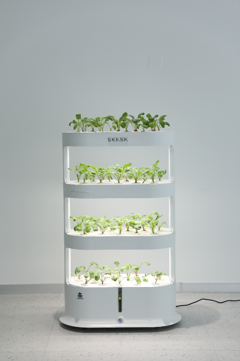 Умный домашний гидропонный сад – обзор и цена Smart Garden Vertical Planter