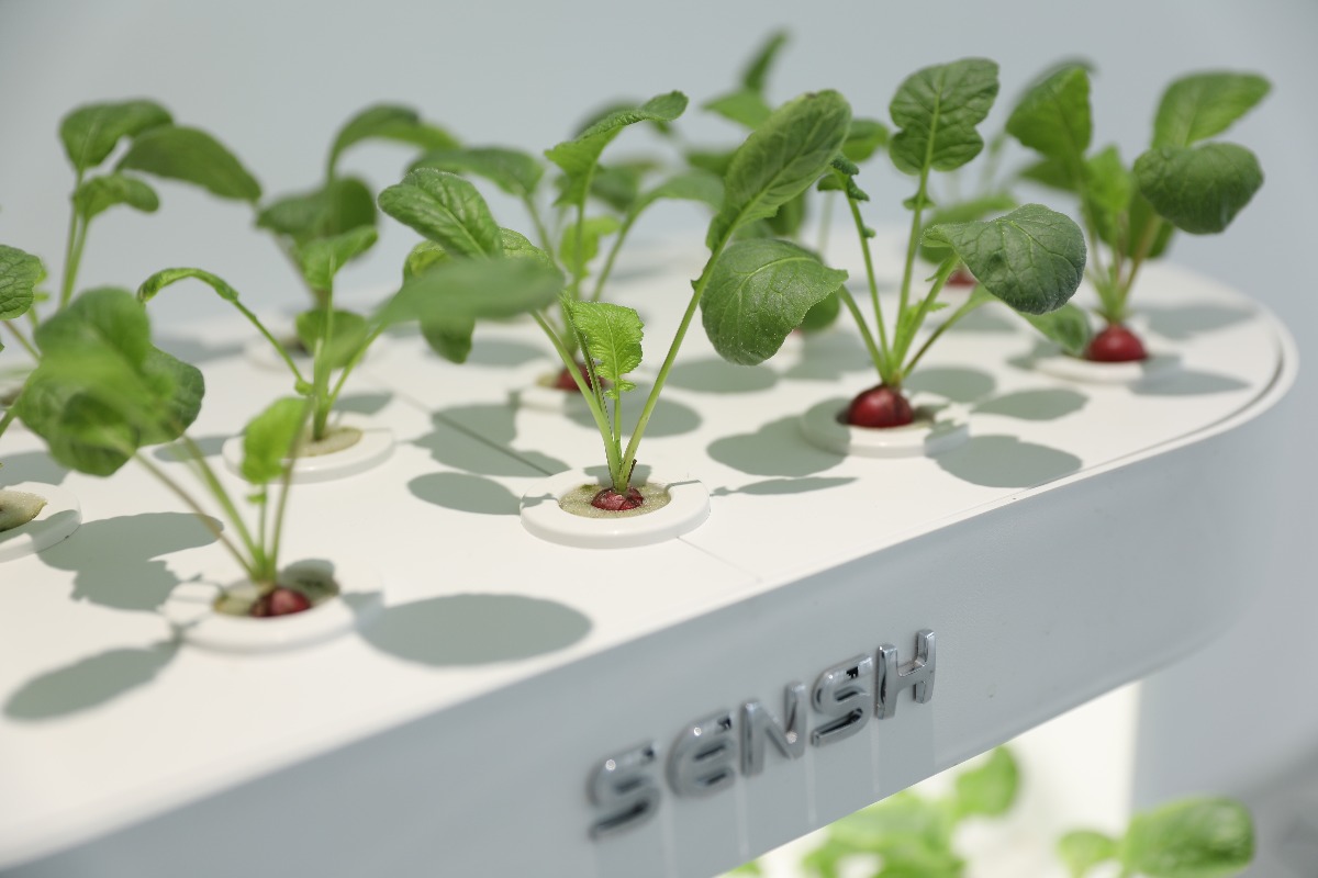Умный домашний гидропонный сад – обзор и цена Smart Garden Vertical Planter