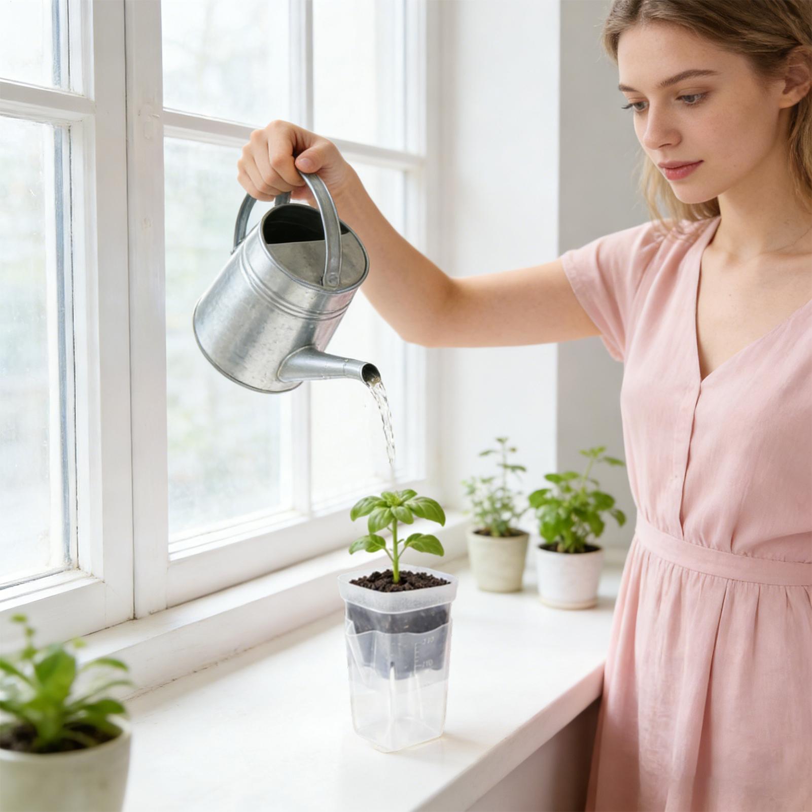 Самополивающиеся горшки для ра – обзор и цена Smart Garden Domes