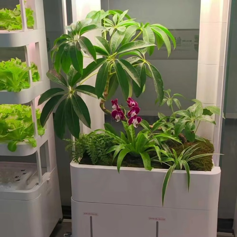 Вертикальная гидропонная систе – обзор и цена Smart Garden Vertical Planter