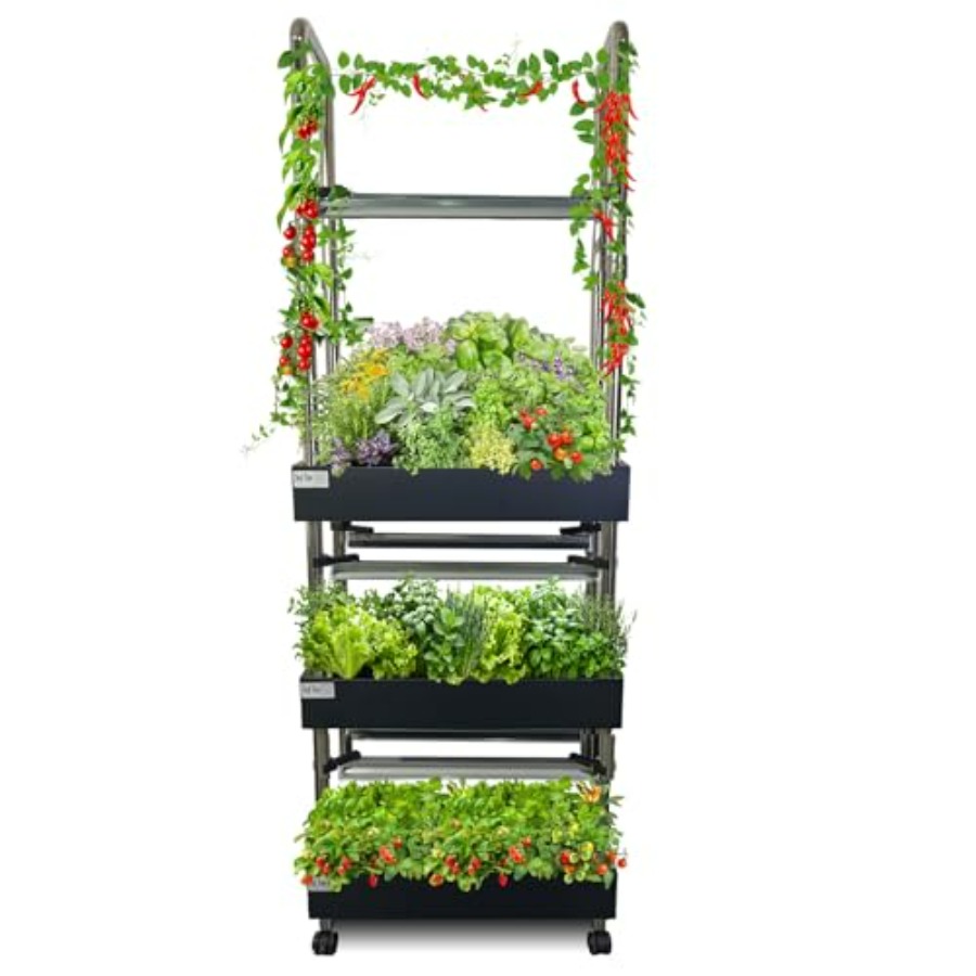 Система для выращивания растен – обзор и цена Smart Garden System