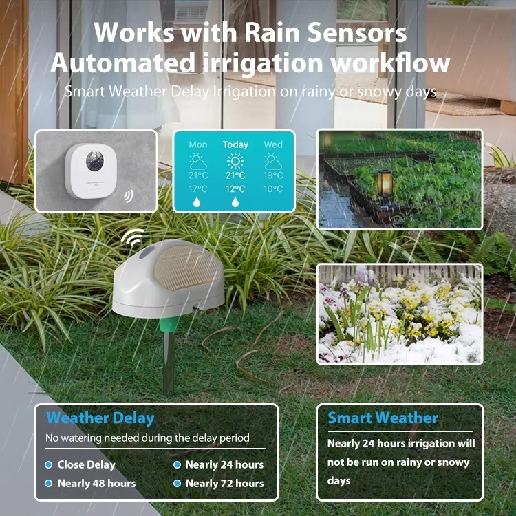 Умный контроллер полива Tuya W – обзор и цена Smart Garden Timer